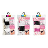 Ladies High Leg Briefs 5 Pack
