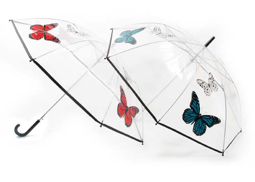 Clear Dome Brolly