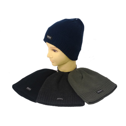 Thinsulate Beanie Hats