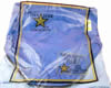 Mens Coloured Briefs Y-Fronts
