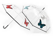 Clear Dome Brolly