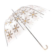 Dome Umbrella Daisy